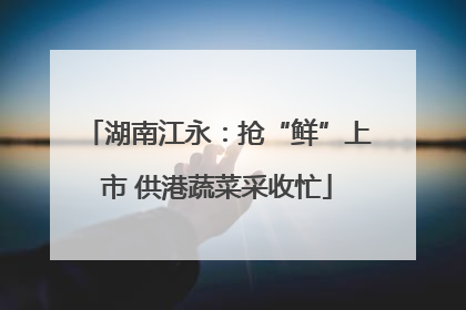 湖南江永：抢“鲜”上市 供港蔬菜采收忙